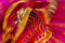 "Dancer" (Seconds) -  Ami Vitale