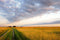 "Prairie Two-Track", Manitoba - Garry Budyk