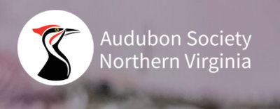 Audubon Society Northern Virginia