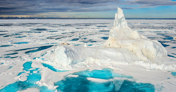 "Ice Castles" (SECONDS) -  Brian Skerry