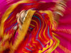 "Dancer" (Seconds) -  Ami Vitale