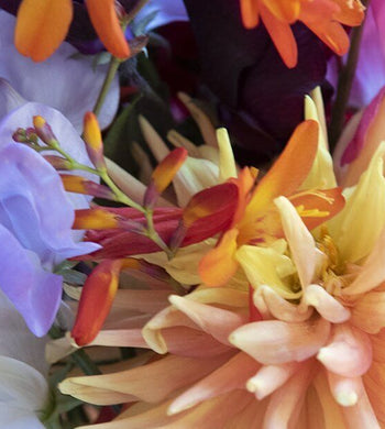 "Fleurs en fleurs" - Clare Hodgetts