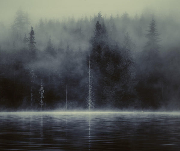 "Lost Lake" - Owen Perry