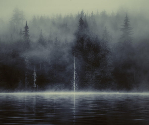 "Lost Lake" (Seconds) - Owen Perry
