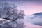 "Mist on the Water" (Seconds) - Viktoria Haack