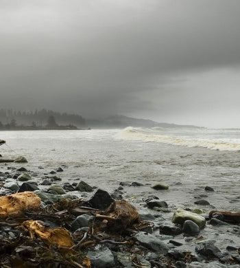 "Passing Storm", Colombie-Britannique - Clare Hodgetts