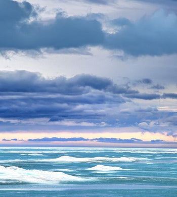 "Pond Inlet Floe-Edge" (Seconds) - Michelle Valberg