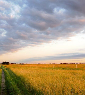 "Prairie Two-Track", Manitoba - Garry Budyk