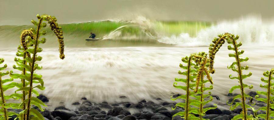 "Through The Ferns", Colombie-Britannique (secondes) - Clare Hodgetts