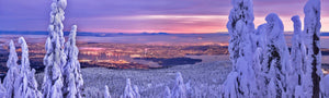 "Through The Tree Tops", British Columbia (Seconds) - Chris Collacott