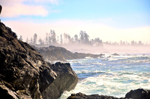 "Ucluelet Rocks", British Columbia (Seconds) - Kemp Edwards