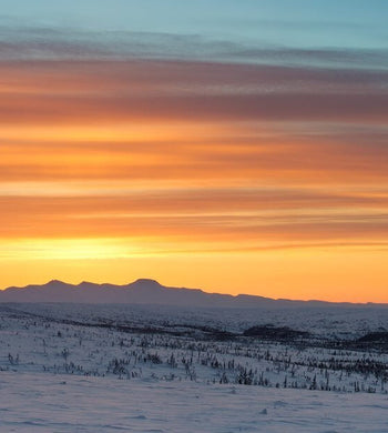 "Warm Glow on the Arctic Tundra", Northwest Territories (Seconds) - Adam Hill