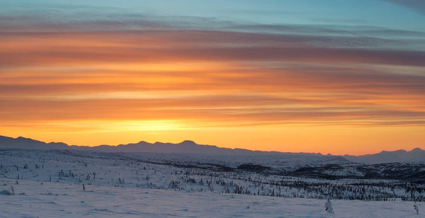"Warm Glow on the Arctic Tundra", Northwest Territories (Seconds) - Adam Hill